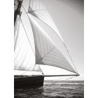 Casadeco / Seaside plakát