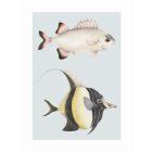 Casadeco / Seaside plakát