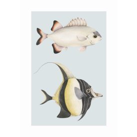 Casadeco / Seaside plakát