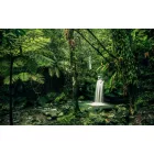 Komar / Wanderlust poszter