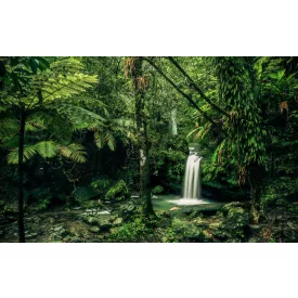 Komar / Wanderlust poszter