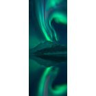 Komar / Wanderlust poszter