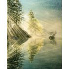 Komar / Wanderlust poszter