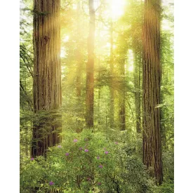 Komar / Wanderlust poszter