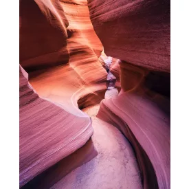 Komar / Wanderlust poszter