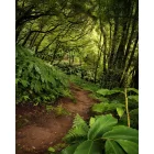 Komar / Wanderlust poszter