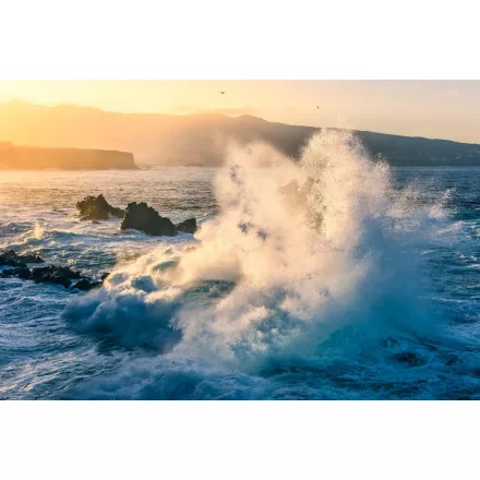 Komar / Wanderlust poszter