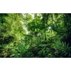 Komar / Wanderlust poszter