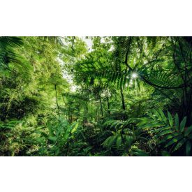 Komar / Wanderlust poszter