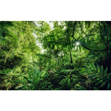 Komar / Wanderlust poszter