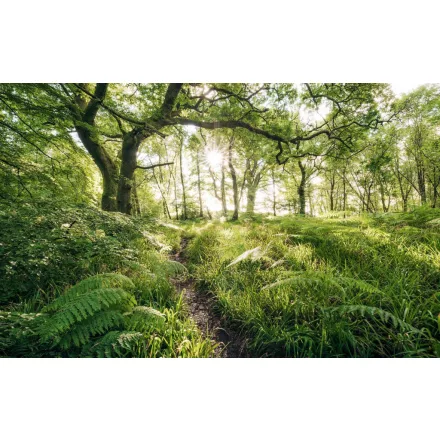 Komar / Wanderlust poszter