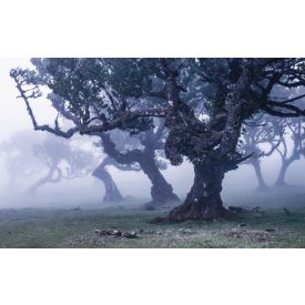 Komar / Wanderlust poszter