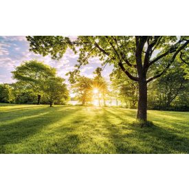 Komar / Wanderlust poszter