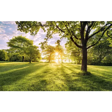 Komar / Wanderlust poszter