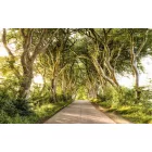 Komar / Wanderlust poszter