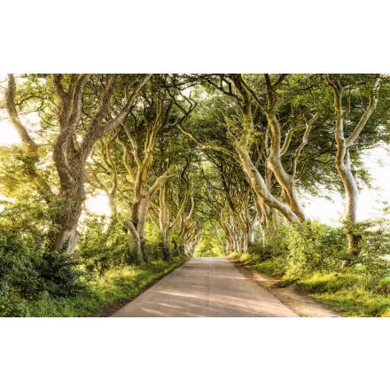 Komar / Wanderlust poszter