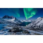 Komar / Wanderlust poszter