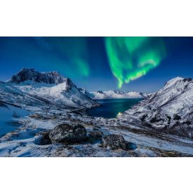 Komar / Wanderlust poszter