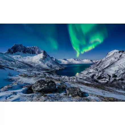 Komar / Wanderlust poszter