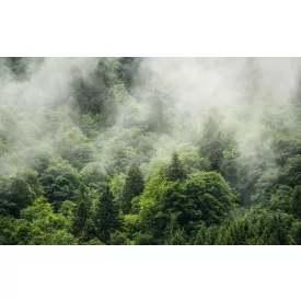 Komar / Wanderlust poszter