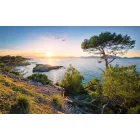 Komar / Wanderlust poszter