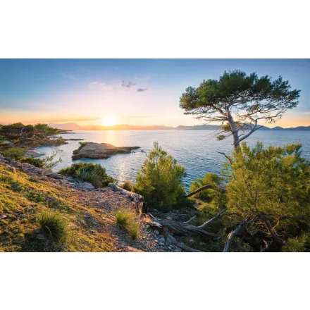 Komar / Wanderlust poszter