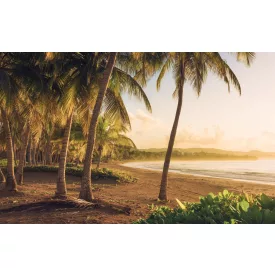 Komar / Wanderlust poszter