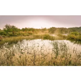 Komar / Wanderlust poszter