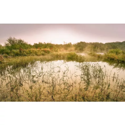 Komar / Wanderlust poszter