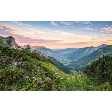 Komar / Wanderlust poszter