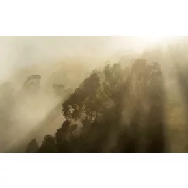 Komar / Wanderlust poszter