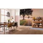 Komar / Wanderlust poszter