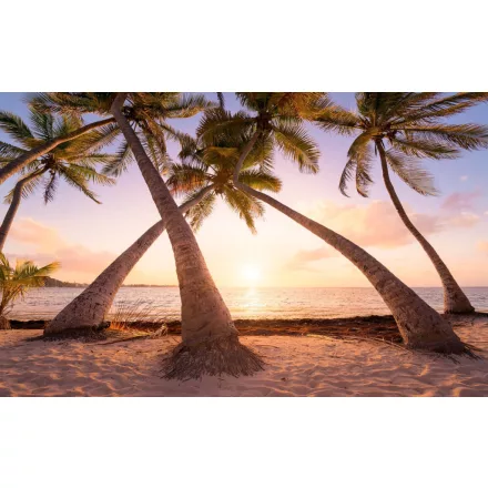 Komar / Wanderlust poszter