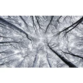 Komar / Wanderlust poszter