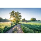 Komar / Wanderlust poszter