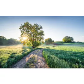 Komar / Wanderlust poszter