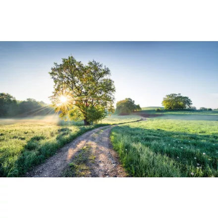 Komar / Wanderlust poszter