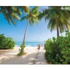 Komar / Wanderlust poszter