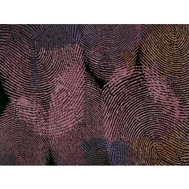 RIMURA / Main Collection