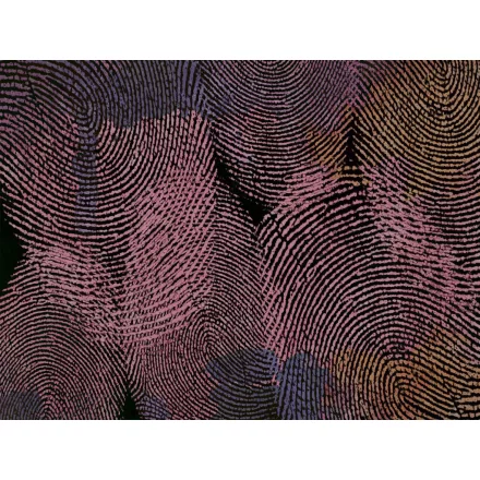 RIMURA / Main Collection