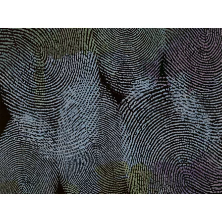 RIMURA / Main Collection