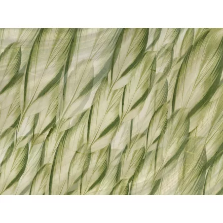 RIMURA / Main Collection