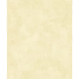 Casadeco / So Color 6 tapéta