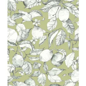 Casadeco / Soliflore tapéta