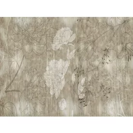 RIMURA / Main Collection