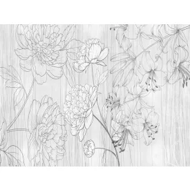 RIMURA / Main Collection