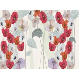 RIMURA / Main Collection