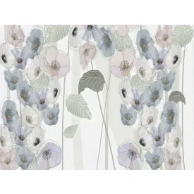 RIMURA / Main Collection