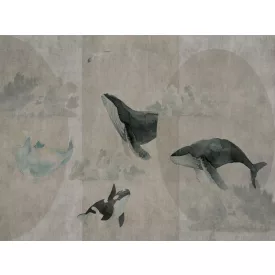 RIMURA / Main Collection