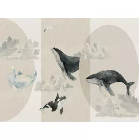 RIMURA / Main Collection